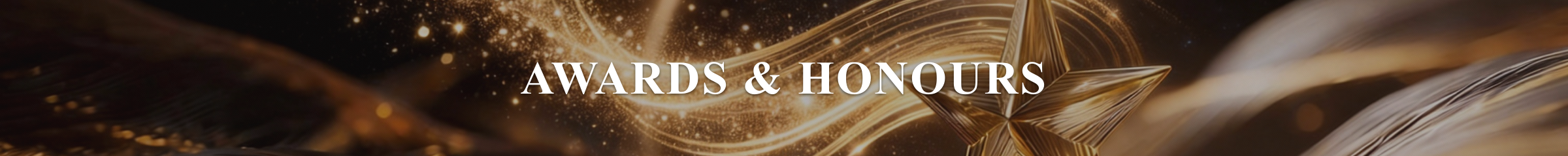 Awards & Honours - Kevin Tan